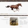 splash home horse