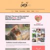 splash home pets
