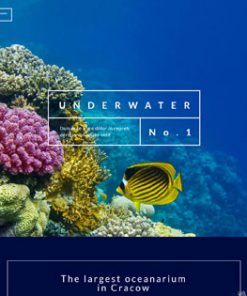 Underwater