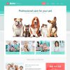 splash home vet